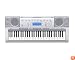 Casio CTK4000 61 Key Personal Keyboard with MP3 Connection,10 second sampling, and Digital Effects