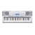 Casio CTK-4000 ersonal Keyboard, 61-Key, with MP3 Connection, 10 Second Sampling, and Digital Effects