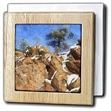 Colorado Mountains Rocky Pine - 6 Inch Tile Napkin Holder