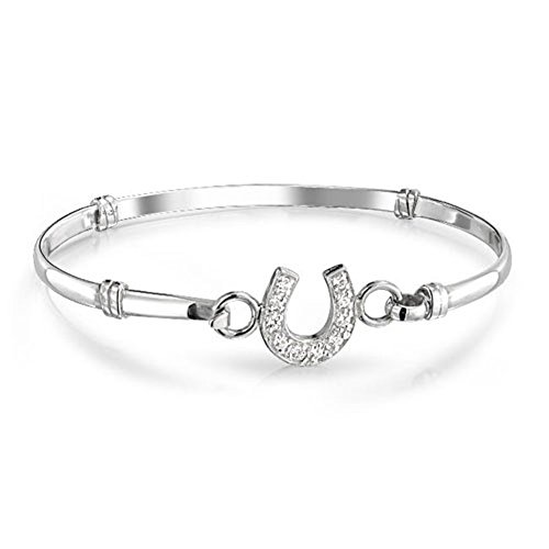 Charmsstory graduation gifts pave cz horseshoe saddle charms bang…