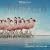 The Crimson Wing: Mystery Of The Flamingos