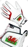 Junior All Weather Golf Glove Wales Flag - LH, Medium