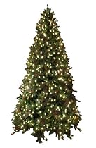 GKI Bethlehem Lighting Pre-Lit 7-1/2-Foot PE/PVC Christmas Tree with 750 Clear Mini  , Full Green River Spruce