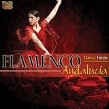 Danza Fuego: Flamenco Andalucia
