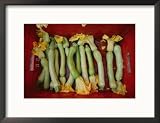 Squash, with Blossoms Still Attached, Lie in a Red Basket Framed Photographic Poster Print by Jodi Cobb, 21x17