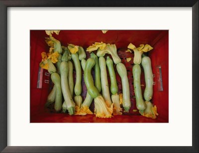 Squash, with Blossoms Still Attached, Lie in a Red Basket Framed Photographic Poster Print by Jodi Cobb, 21x17