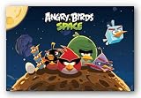 (22x34) Angry Birds Space Group Video Game Poster