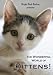 The Wonderful World of Kittens!