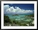 Bird Island, West Indies Framed Art Poster Print by Mike Hill, 39x31