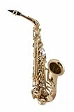 Selmer SAS280 La Voix II Alto Saxophone Outfit, Copper Brass Body & Keys - B001VSDECQ