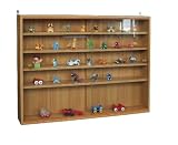 Sammlervitrine Setzkasten