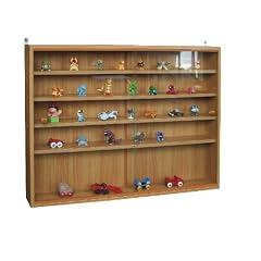 Sammlervitrine Setzkasten
