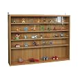 Sammlervitrine Setzkasten