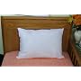 Toddler Pillow Size: 14x20