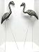 Pair Of Skeleton Flamingos Skel-A-Mingos Lawn Decor