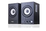 2.0-Kanal-Lautsprecher aus Holz Home Hifi System-SD-Karte und USB-Flash-Drive-Wiedergabe Kompatibel mit einem 3,5 mm Audio Line-in Geräte-Desktop Laptop Handy MP3-Player iPhone 3GS 4 4S iPad iPod Touch PSP SKY TV Set Top Box (Ricco T2018 in SCHWARZ)