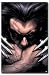 Wolverine (Claws) Movie Poster Print - 24 X 36