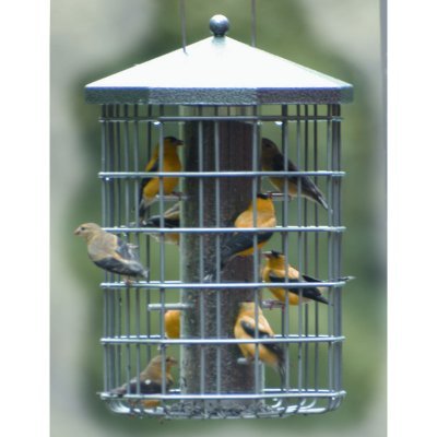 Tierra-Derco Thistle Feeder Birdhouse