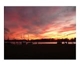 Where My Feet Carried Me Scenic Photographic Poster Print by Gene Marie, 10x8