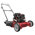 Yard Machines 20" Push Gas Mower
