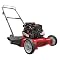Yard Machines 20" Push Gas Mower