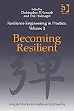 Resilience engineering in practice. Volume 2, Becoming resilient