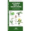 Wyoming Trees & Wildflowers: An Introduction to Familiar Species (A Pocket Naturalist Guide)