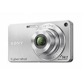 Sony DSC-W350 14.1MP Digital Camera with 4x Wide Angle Zoom with Optical Steady Shot Image Stabilization and 2.7 inch LCD (Silver)