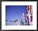 Graffiti on Wall and Palm Trees, Venice Beach, Los Angeles, California, USA Collections Framed Art Poster Print by Neil Emmerson, 22x18