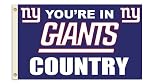 NFL New York Giants 3-by-5 Foot "In Country" Flag