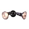 Cooper Lighting PWT250BR 300W Plastic Twin Head PAR Floodlight, Bronze