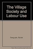 Village society and labour use