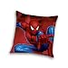 Confronta prezzi Herding 553609003 Cuscino decorativo Spiderman