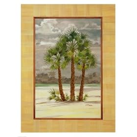 Mediterranean Fan Palm by Paul Brent. ART PRINT Canvas Rolled.. 24.00 inches width by 32.00 inches height. Highest Quality Art Poster Print
