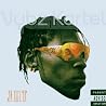 Image of album by Vybz Kartel