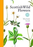Scottish wild flowers : mini guide