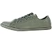 Converse Chuck Taylor Slim Ox Low