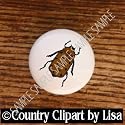 BUGS CCL BEATLE DRAWER PULLS KNOBS