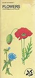 Flowers of the hedgerow and wayside