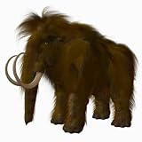 Mammut - 24H x 24W - Peel and Stick Wall Decal by Wallmonkeys