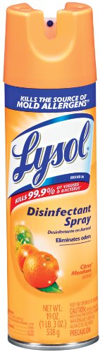 Lysol Disinfectant Spray, Citrus Meadows, 19 Ounce (Pack of 12)