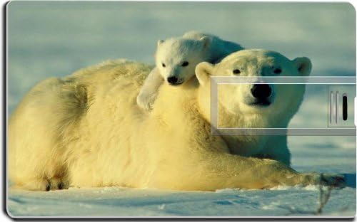 Polar Bears Family Cute Animals 16G USB Flash Drive 2.0 Memory Stick MSD USB Credit Card Size Customized Support Services Ready Windows Mac Storage External