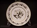 Royal Worcester Bernina #Z2164 Demi Saucers Only