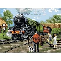 STEAM TRAIN ENGINE ADULT PAINTING PAINT BY NUMBERS
