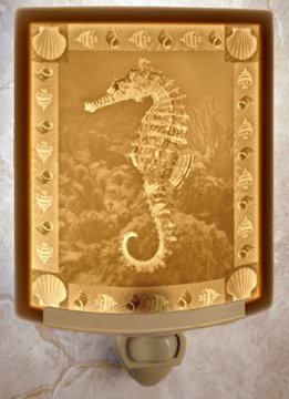 Seahorse CURVED Porcelain Lithophane Nightlight
