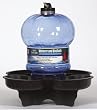Bird Bath & Waterer