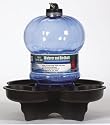 First Nature Nature's Niche Bird Bath and Waterer