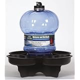 Bird Waterer & Birdbath