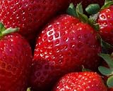 Fragissimo Strawberry 20 Seeds - Pink Flower/Red Fruit