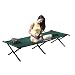 Texsport Folding Jumbo Camp Cot